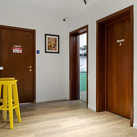 Nest Boutique אכסניה